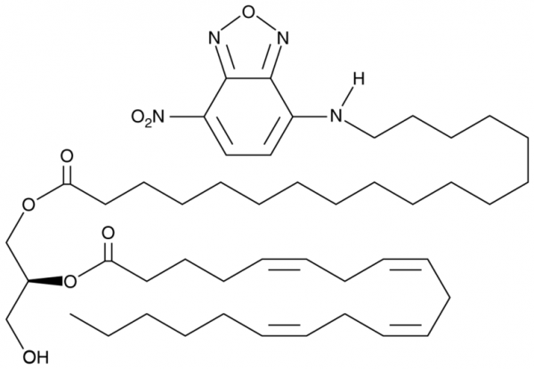 1-NBD-Stearoyl-2-Arachidonoyl-sn-glycerol