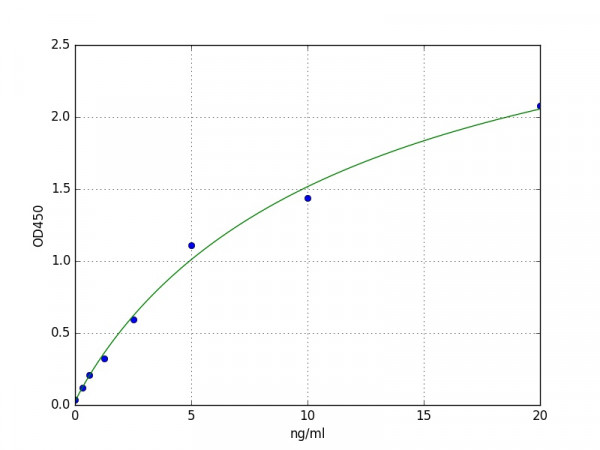 Human MRP1 ELISA Kit