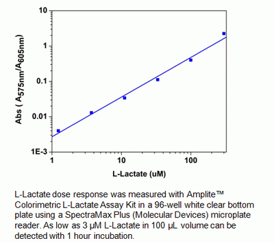 Amplite(TM) Colorimetric L-Lactate Assay Kit