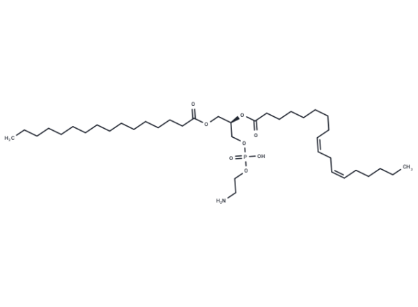 1-Palmitoyl-2-linoleoyl PE
