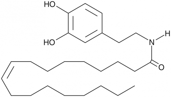 N-Oleoyl Dopamine