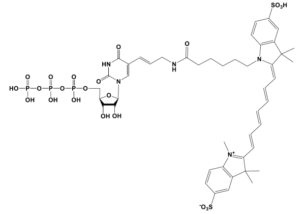 Sulfo-Cyanine7 UTP