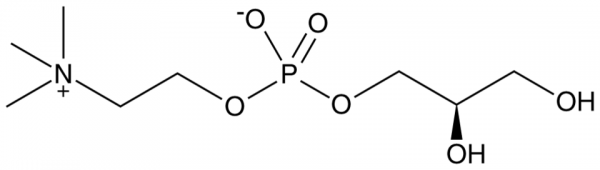 sn-glycero-3-Phosphocholine