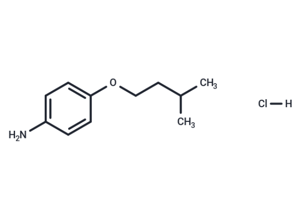 CP-24879 hydrochloride