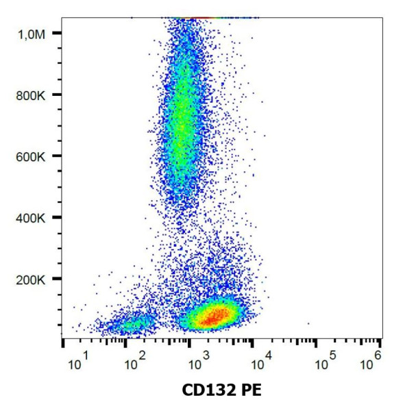 Anti-CD132 / IL2RG (PE), clone TUGh4