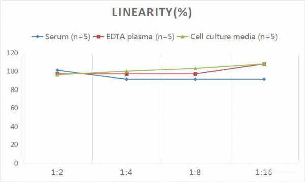 Rat IGF-1 (Insulin-Like Growth Factor 1) CLIA Kit