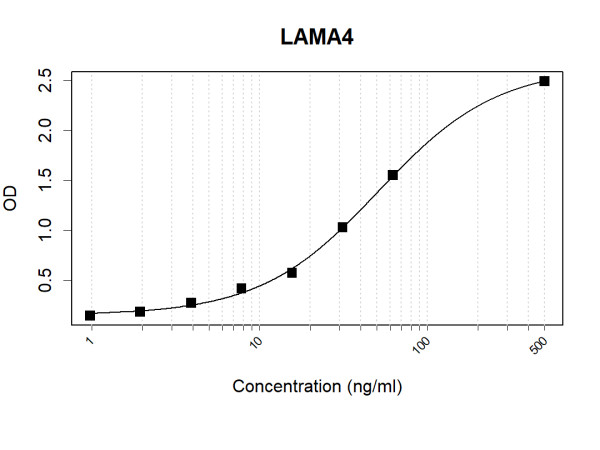 Anti-Human LAMA4 Antibody Pair