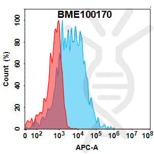 Anti-CD74(milatuzumab biosimilar) mAb