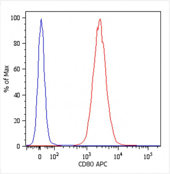 Anti-CD80, clone MEM-233 (APC)
