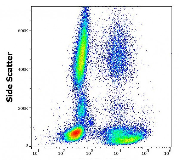 Anti-CD42a, clone GR-P (FITC)