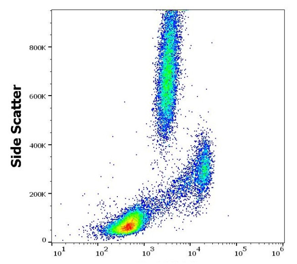 Anti-CD116, clone 4H1 (PE )