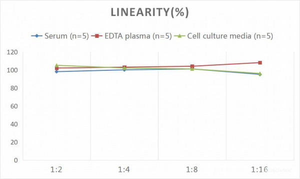 Human HLA-B27 (Human Leukocyte Antigen B27) CLIA Kit