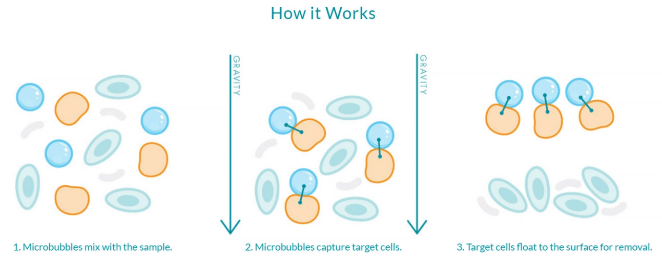 BACS_Principle