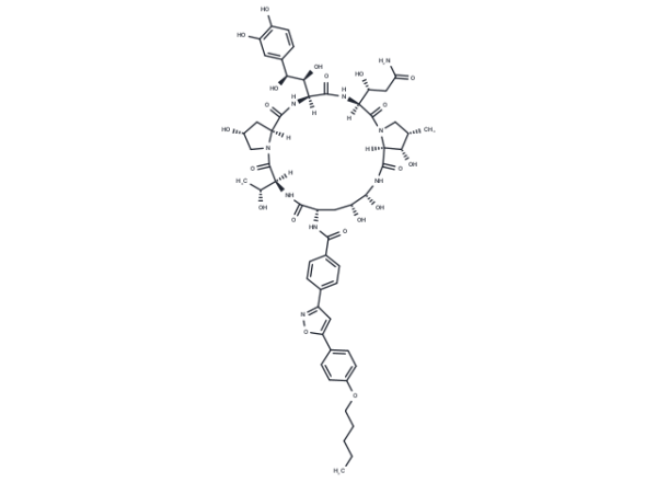 Micafungin metabolite M1