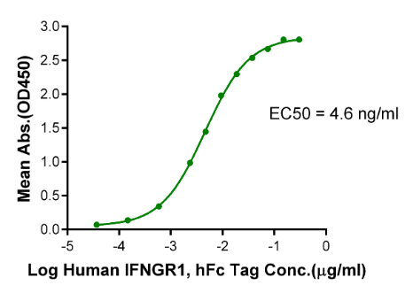 IFN gamma/IFNG, His &amp; Avi, Human