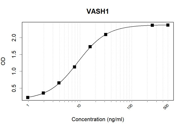 Anti-Human VASH1 Antibody Pair
