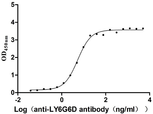 Anti-LY6G6D Recombinant Monoclonal, clone 8I8