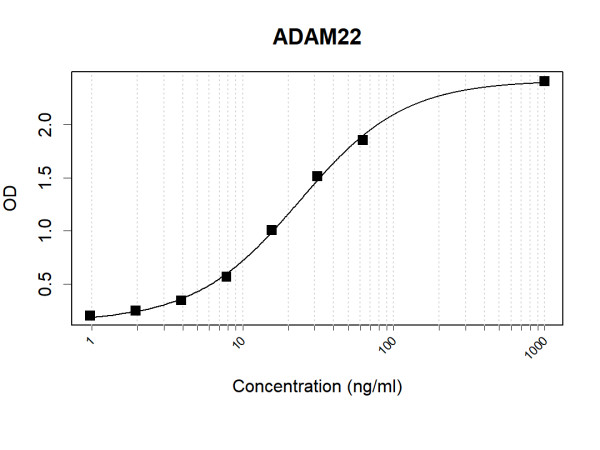 Anti-Human ADAM22 Antibody Pair