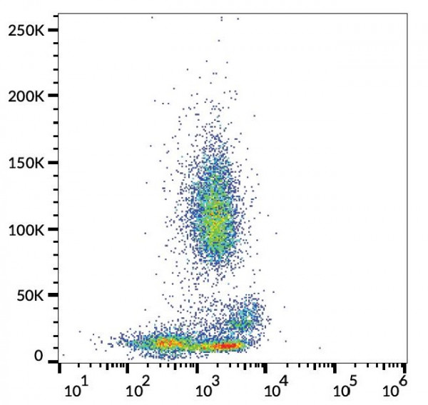 Anti-CD55, clone MEM-118