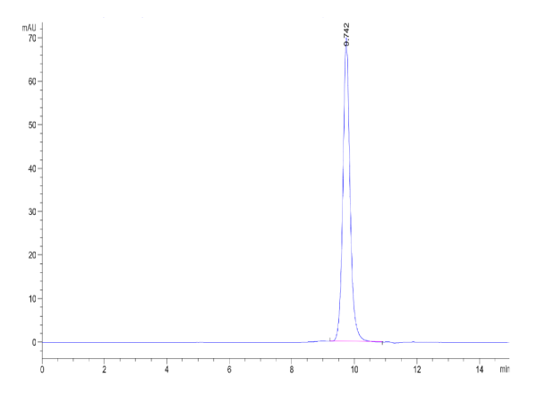Human CD5L Protein