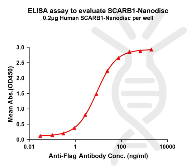 SCARB1 (human) full length protein-synthetic nanodisc