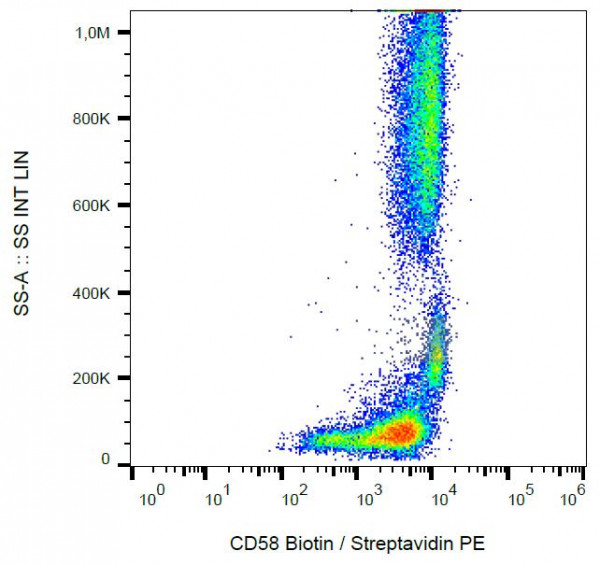 Anti-CD58, clone MEM-63 (Biotin)