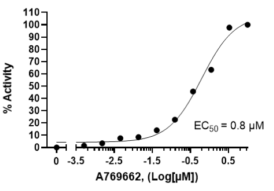 Chemi-Verse(TM) AMPK (A1/B1/G1) Kinase Assay Kit