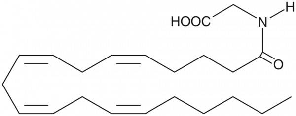 Arachidonoyl Glycine