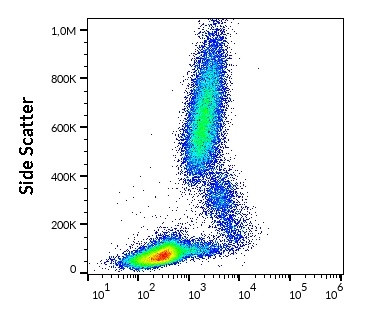 Anti-CD11c, clone BU15 (FITC)