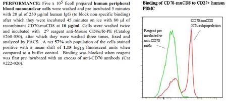CD70 -muCD8 Fusion Protein, (human)