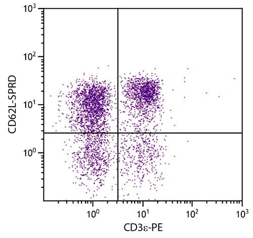 Anti-CD62L (Spectral Red), clone MEL-14