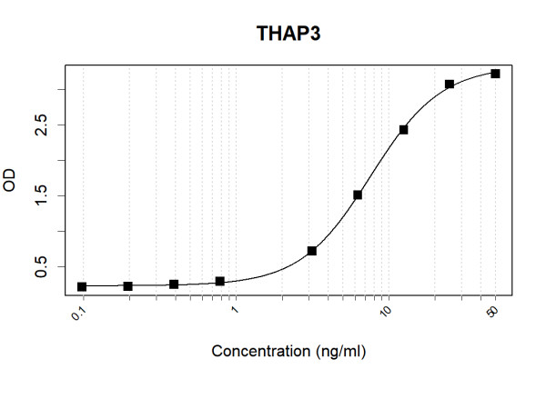 Anti-Human THAP3 Antibody Pair