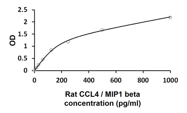 Rat CCL4 / MIP1 beta ELISA Kit