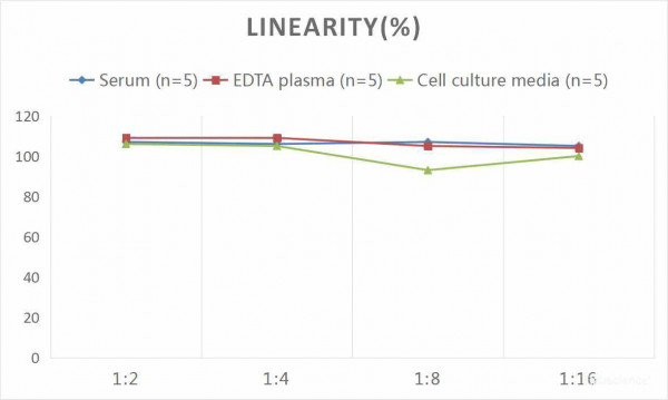 Human SAA (Serum Amyloid A) CLIA Kit