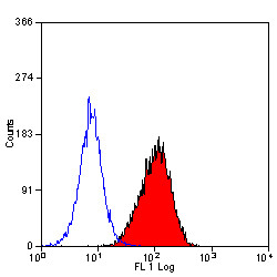 Anti-CD34 (RPE), clone MEC14.7