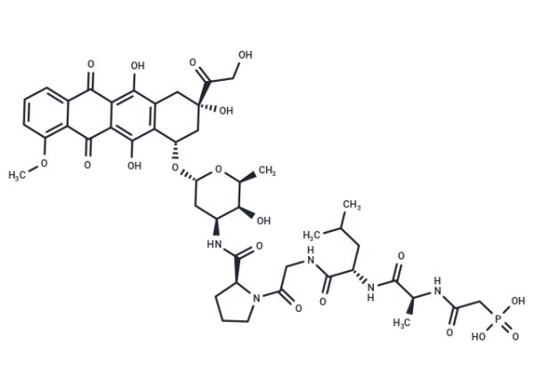 PhAc-ALGP-Dox