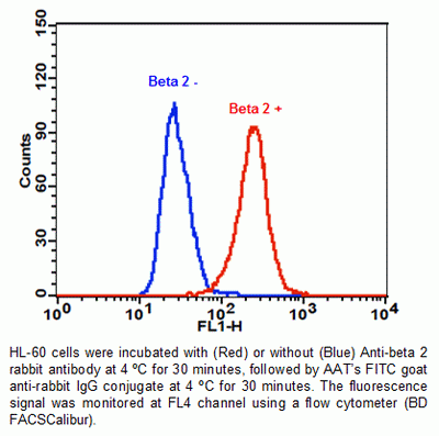 FITC goat anti-rabbit IgG (H+L)