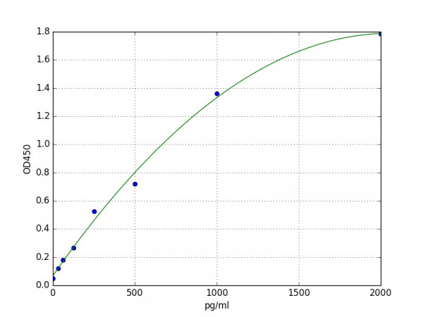 Human Il 8 ELISA Kit