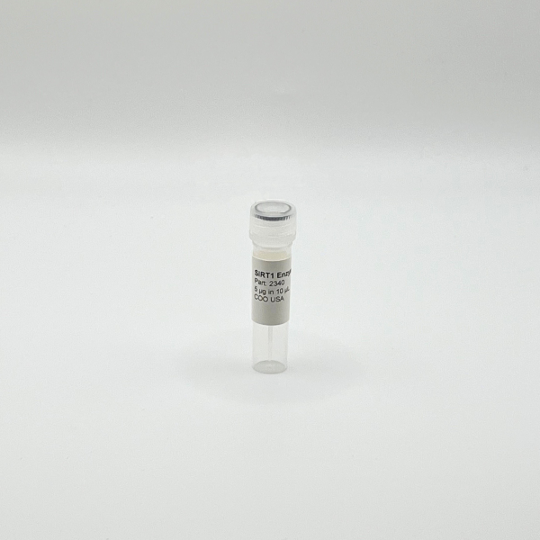 Recombinant SIRT1 Enzyme, Active, Human