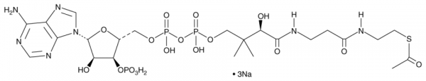 Acetyl-Coenzyme A (sodium salt)