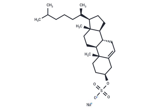 Cholesteryl sulfate sodium