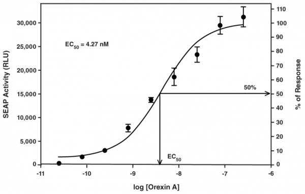 Orexin 2 Receptor Reporter Assay Kit