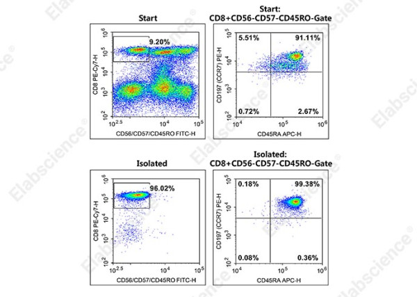 EasySort(TM) Human Naïve CD8+T Cell Isolation Kit