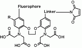 Cal-520(TM) maleimide