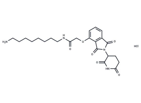 Thalidomide-O-amido-C8-NH2 hydrochloride