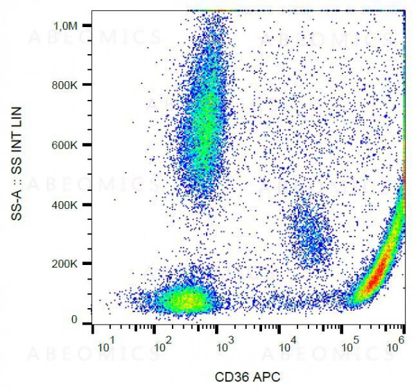 Anti-CD36 Monoclonal Antibody (Clone:CB38 (NL07))-APC Conjugated