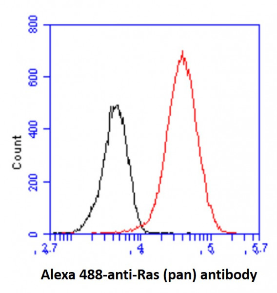 Anti-Ras (pan), clone 2G9