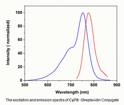 Cy7(R)-streptavidin conjugate