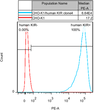 CHO-K1/KIR Stable Cell Line