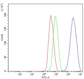 Anti-Dexras1 / RASD1